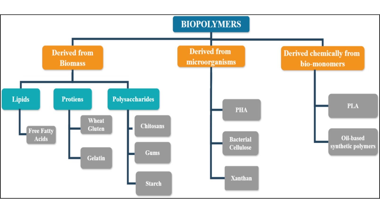 Tamarindus Indica as a potential solid polymer electrolyte material for Sodium Batteries